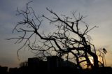 SAD Fall Brings the Onset of SAD