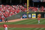 MLB Incident at Yankee Stadium Causes MLB Teams to React
