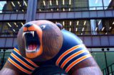 Chicago Bears Chicago Bears Make a Turn Around