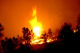 Death Toll Rises to 71 in Northern California’s Raging Inferno [Video]