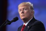 Caravan Caravan Migrants on Collision Course With White Nationalism