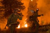 california 44 Declared Dead in California’s Deadliest Wildfires