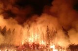 charity ‘Tears Aren’t Enough’ California Camp Fire Charity Album Draws Big Names