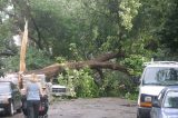 tornado Tornado-Like Weather in Chicago Leaves Many Without Power
