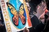 DACA Judge Reverses DACA Suspension Finds Chad Wolf Unlawfully Appointed