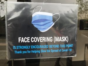 Face Mask