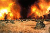 Fireworks Officials Warn Against Fireworks Due to Drought and Extreme Fire Danger