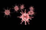 COVID-19 COVID-19 Delta Variant Highly Likely to Become Dominant Strain Globally