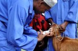 COVID-19 Judge Rules Hospital Must Use Ivermectin to Treat COVID-19 Patient