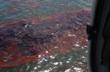 Oil Spill in California Closes Beaches and Events