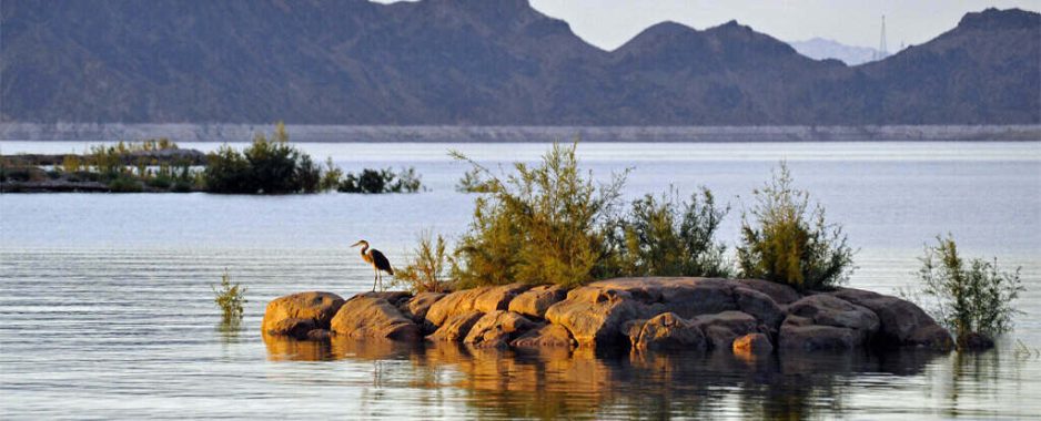 Lake Mead’s Lower Levels of Water Leads to the Discovery of Human Remains