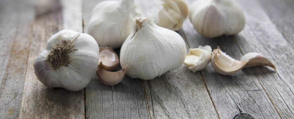 Garlic Can Be Grown in the Fall, Here’s How!